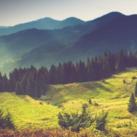 Mountain Night Image